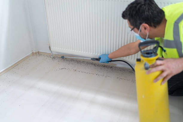 Best Pest Control for Restaurants  in Duncan, OK